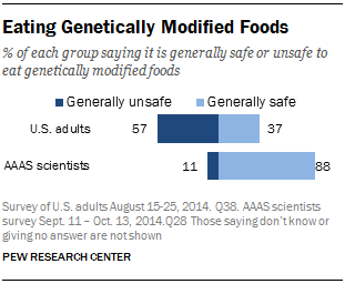 Genetically modified foods research paper sample