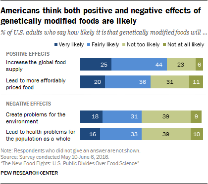 How are you affected by genetically modified foods