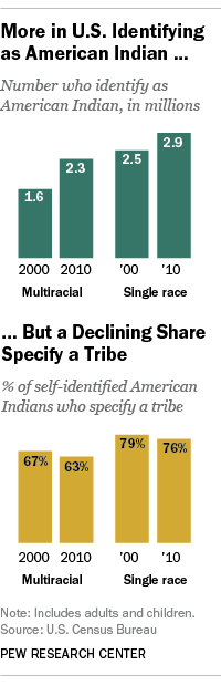 American Indian and white, but not 'multiracial