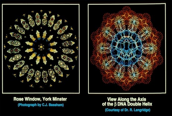 science and christianity coexist