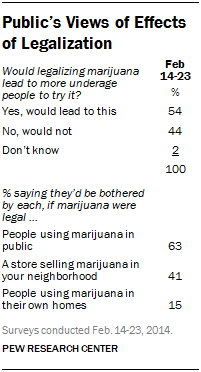 Public’s Views of Effects of Legalization