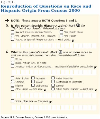 white hispanic vs white non hispanic