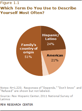 Ii Identity Pan Ethnicity And Race Pew Research Center